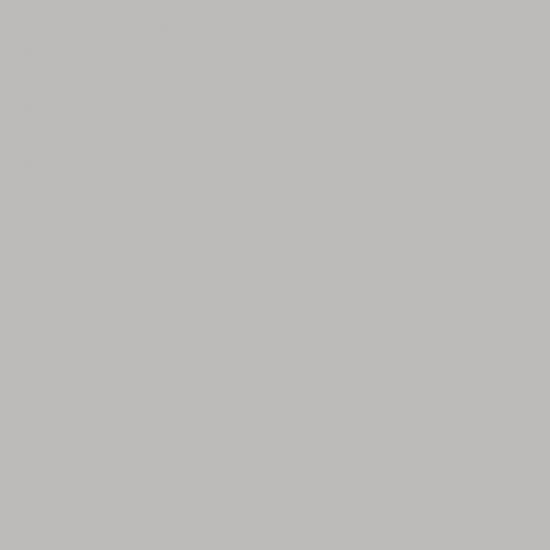 Agrandir - PAPIER PEINT GRIS PAILLETé RE1009