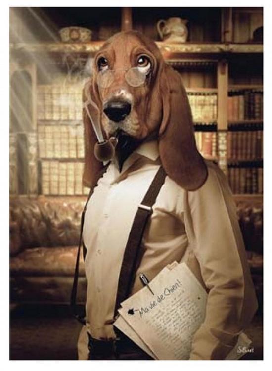 Tableau Chien Basset