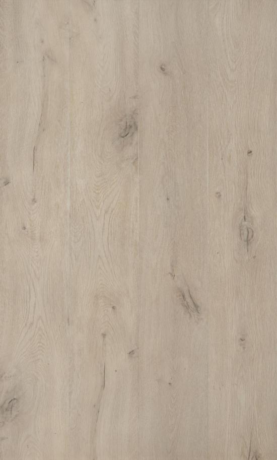 Agrandir - FOREST LVP806