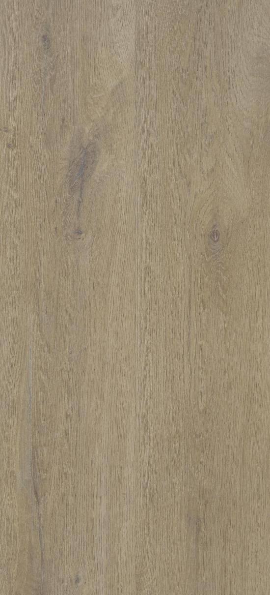 Agrandir - TEXAS OAK H54